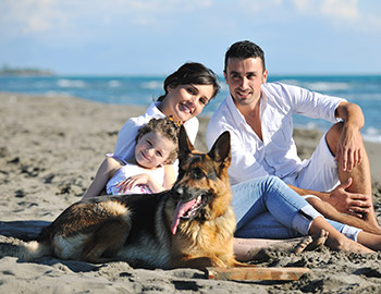 Sød familie og schæferhund på stranden