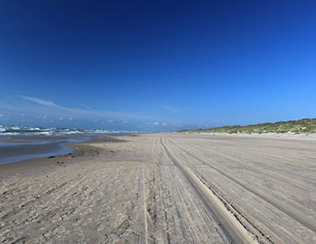 Saltum Strand med hav og klitter